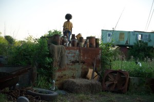 Beasts of the Southern Wild 2