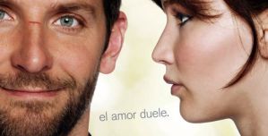 El lado bueno de las cosas_poster