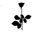 Depeche Mode Black&nbsp;Rose