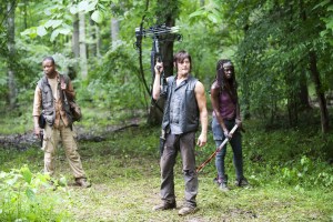 The Walking Dead Season 4 - Bob, Daryl & Michonne