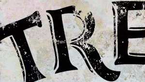 Treme Titles 4 Seasons