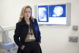 The Fall Gillian Anderson