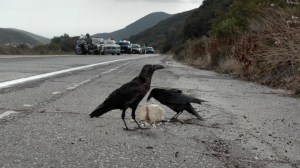 Sons of Anarchy - Season 7 - The Last Supper (2)