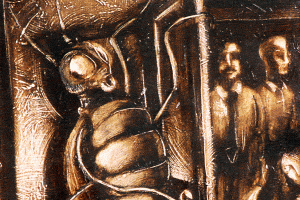 edward-r-shaw-metamorphosis2