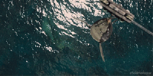 JurassicWorld_mosasaurio