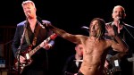 Iggy Pop Josh Homme&nbsp;2016