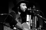 leiva-fin