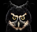 Twin Peaks The Return The Owls Are Not What They Seem&nbsp;(1)