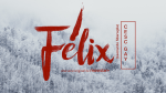 Felix logo bueno